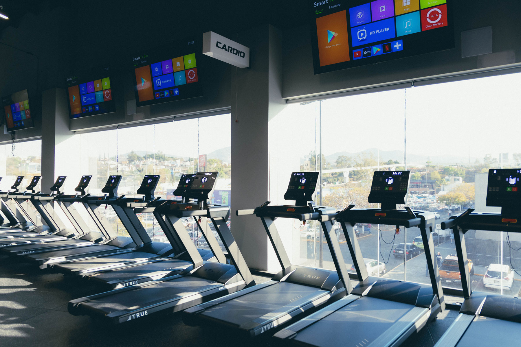 Zona de cardio con equipos de última generación